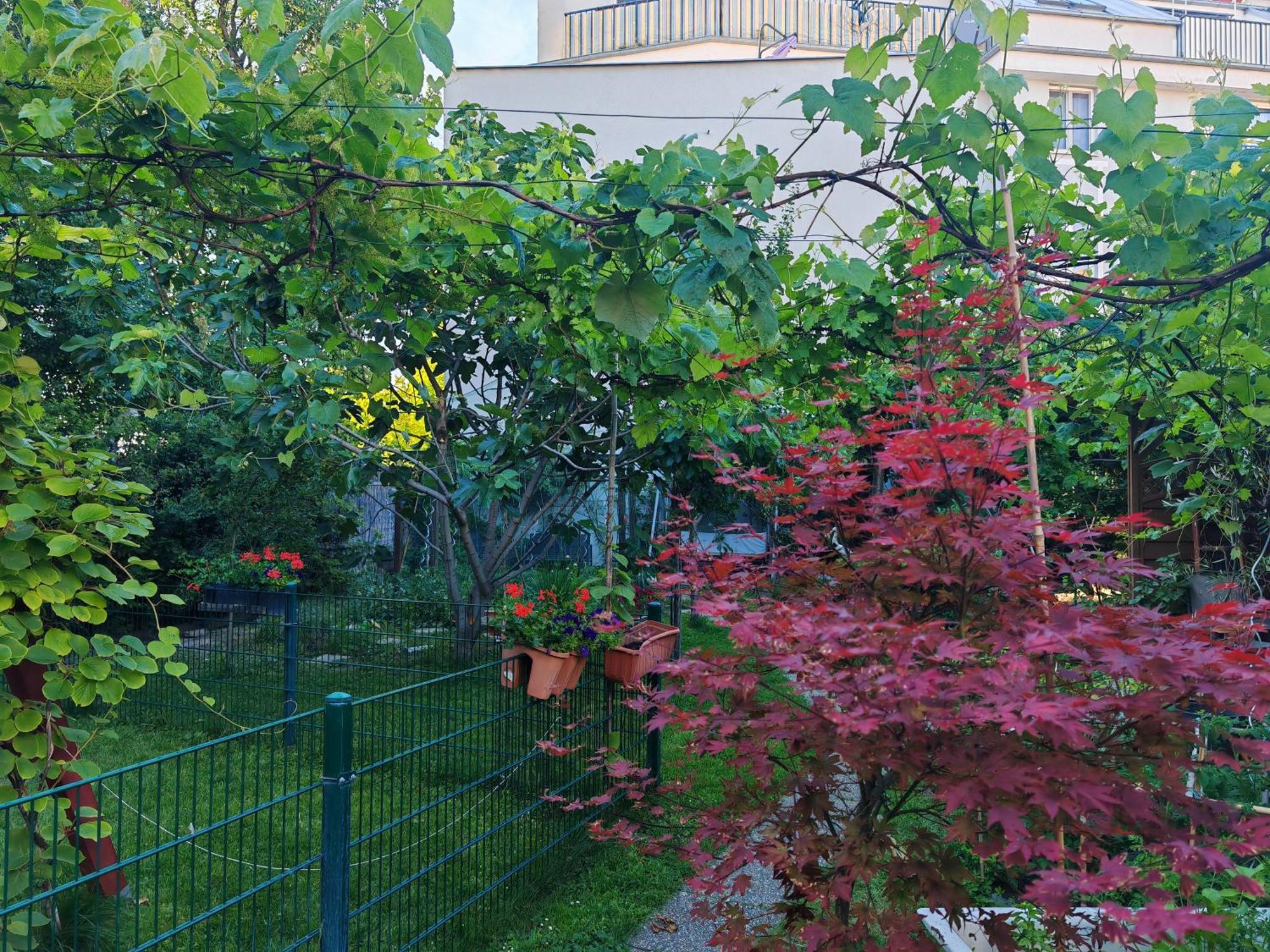 Leopoldauer Apartment Wien Exteriör bild